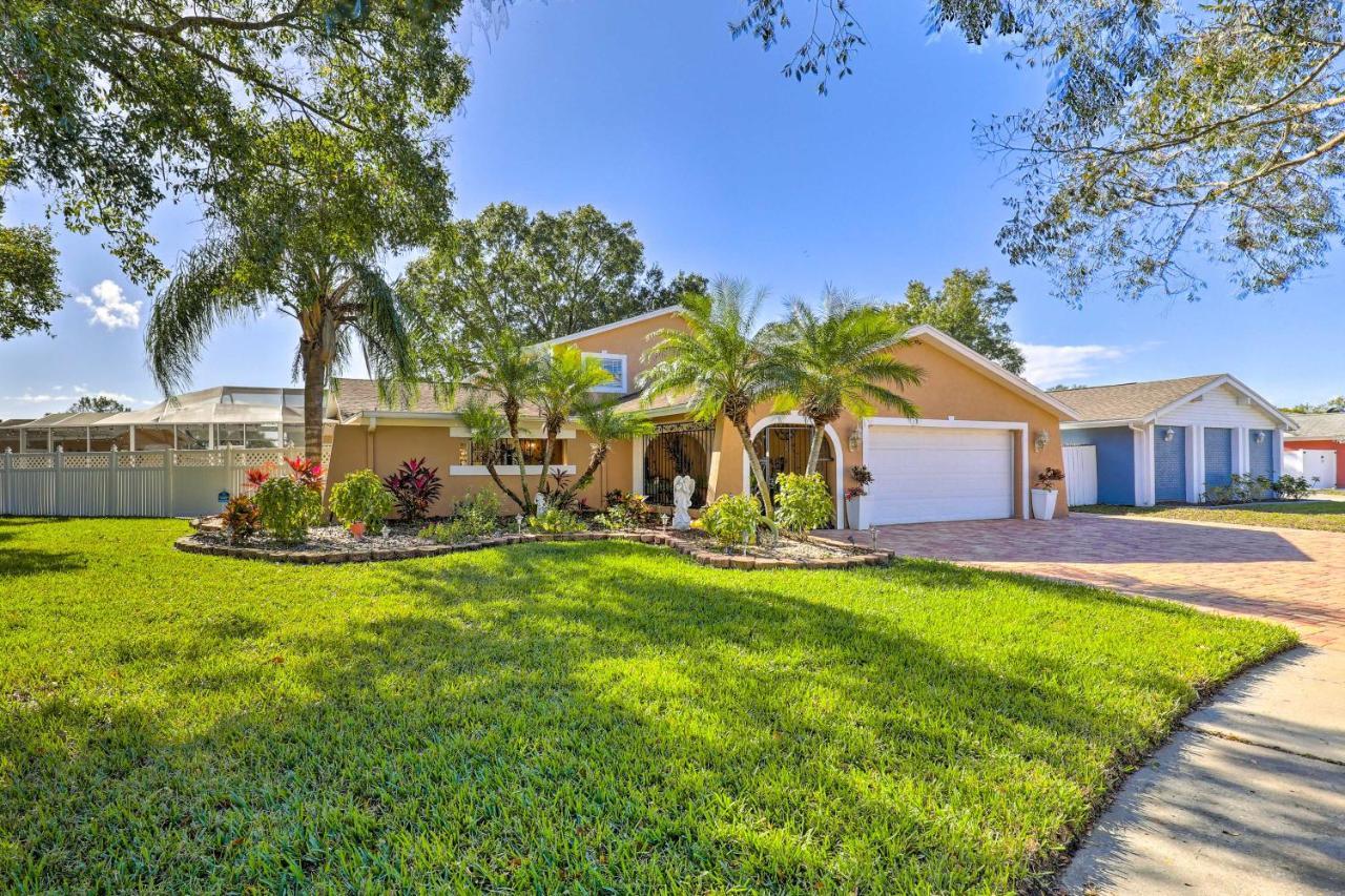 Cozy Home In Heart Of Tampa With Lanai And Pool! Zewnętrze zdjęcie