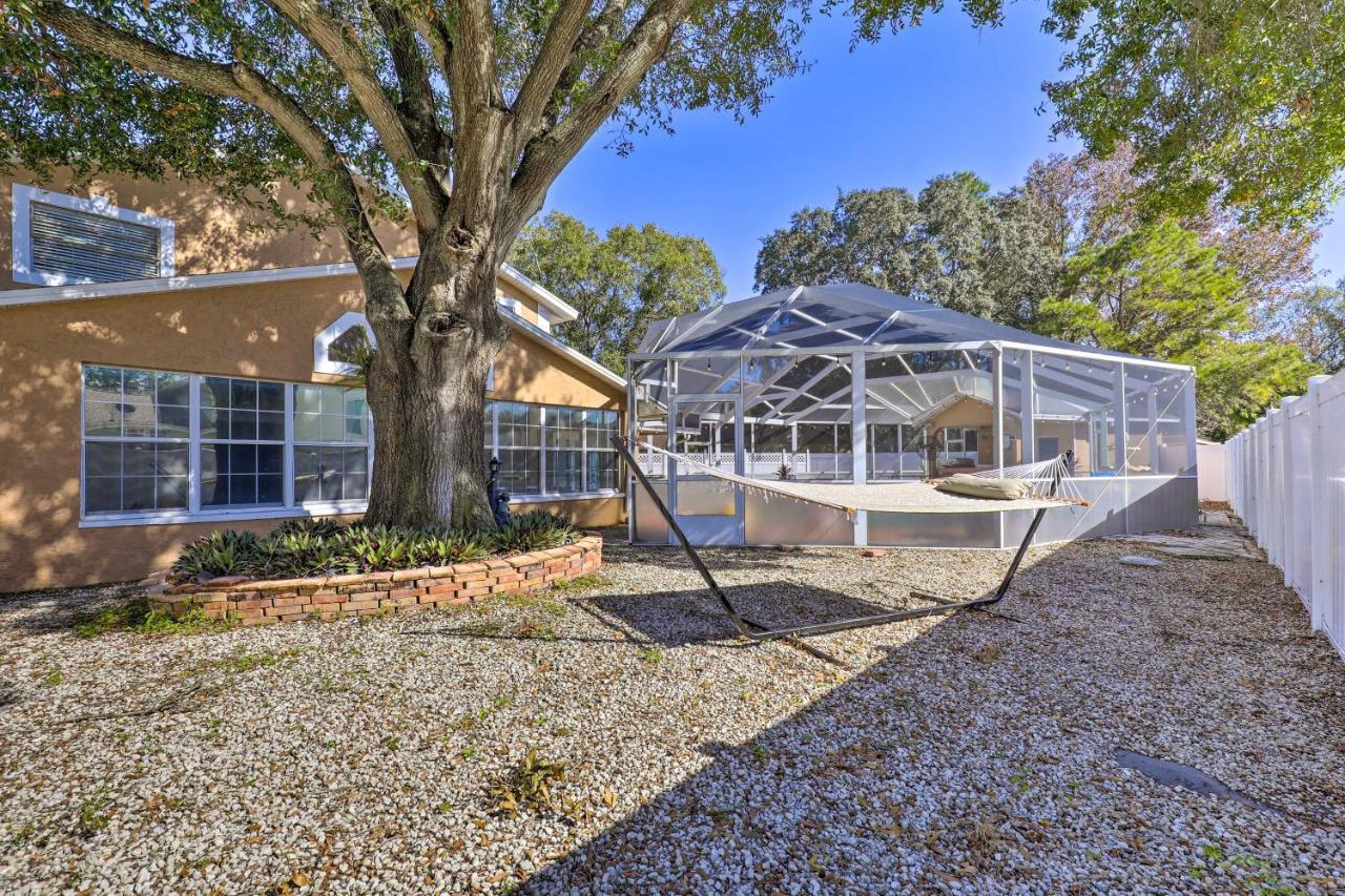 Cozy Home In Heart Of Tampa With Lanai And Pool! Zewnętrze zdjęcie